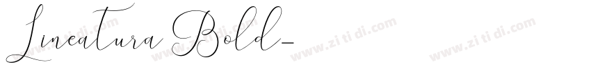 Lineatura Bold字体转换